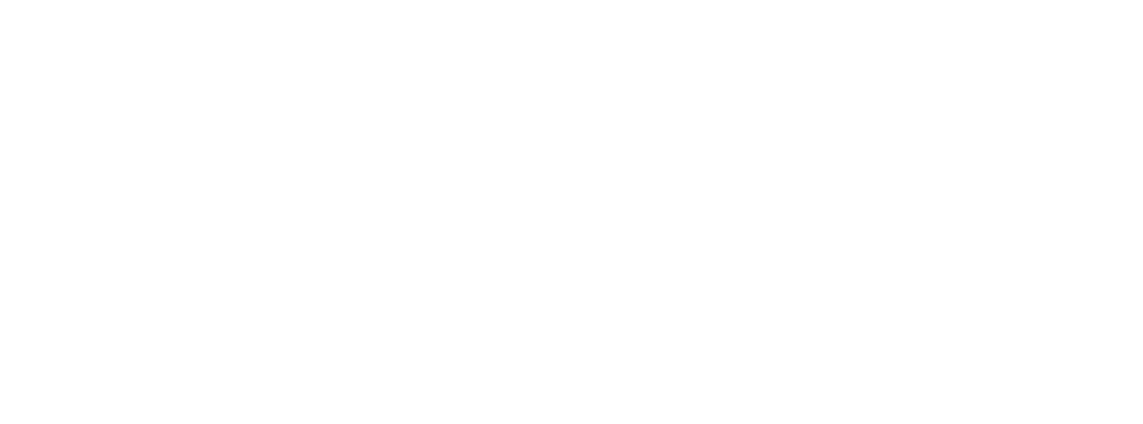 PN Monari Lab