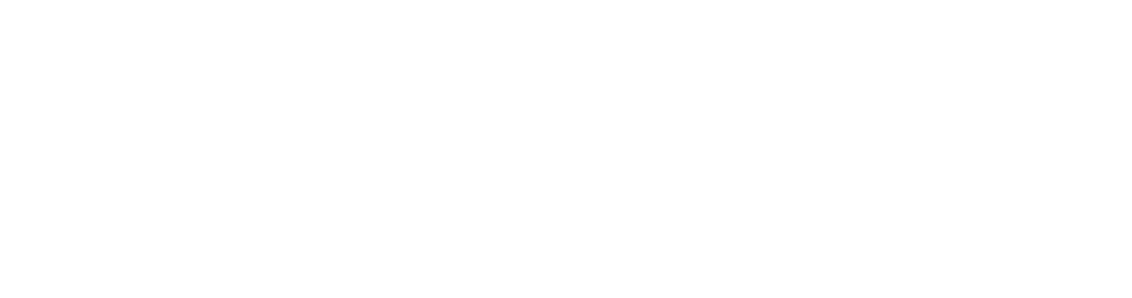 PN süreç